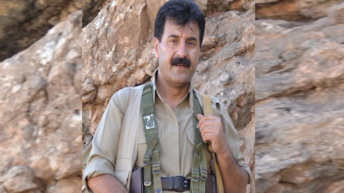saidjamalkankash